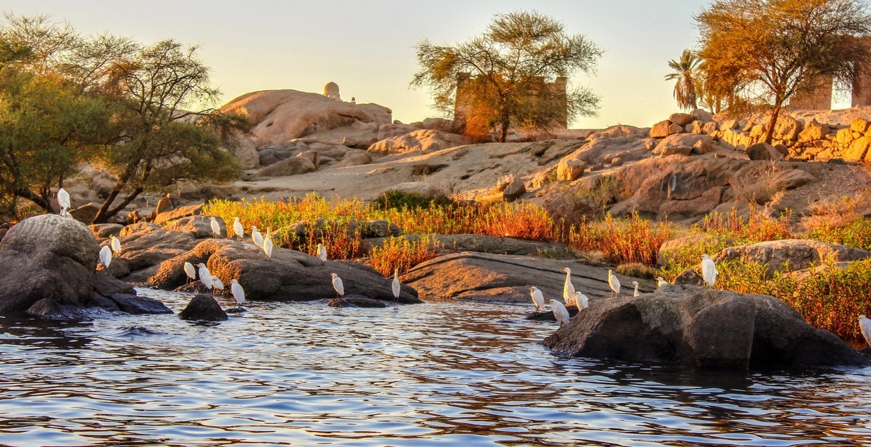 Nile River aswan