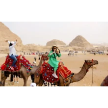 Road from Cairo to Jordan Travel