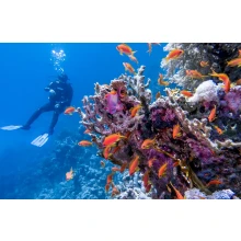 Cairo and Sharm El Sheikh Package