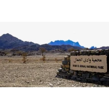 Wadi El Gemal Safari Tours in Marsa Alam