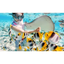 Ras Mohamed Snorkeling Tours from Dahab