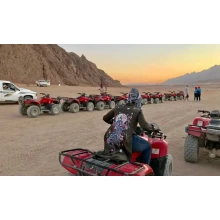 Quad Bike Tours from Sharm Port