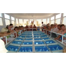 Glass Boat Tours in Dahab