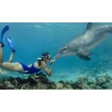 Trip to Dolphin House in Marsa Alam