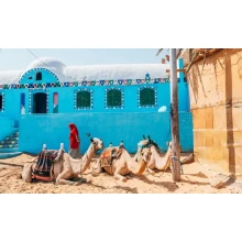 5 Days Nile Cruise New Year Trip