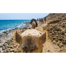 Ras Abu Galum & Blue Hole Tours from Taba