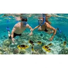 Mahmya Island Snorkeling Tours El Gouna