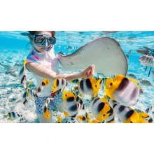 Blue lagoon Snorkeling tour from Marsa Alam