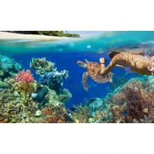Viajes El Cairo, Sharm El Sheikh y Jordania
