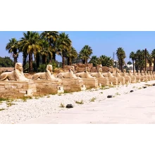 Tours Los Templos de Karnak y Luxor