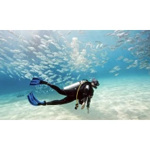 Taba Tours a La Isla del Faraon