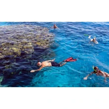 Abu Dabab Snorkel Tours en Marsa Alam