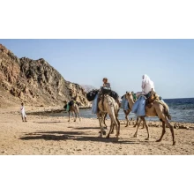 Dahab Safari y Snorkel Excursiones de Sharm El Sheikh