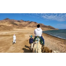 Safari Excursiones y Montar Camellos en Sharm El Sheikh