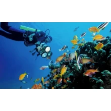 Snorkeling Tours en Aqaba Taba