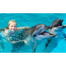 Excursiones El Espectáculo de Delfines en Sharm El Sheikh
