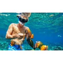 Snorkeling Tours a la Isla de Tirán de Dahab