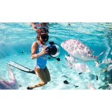 Tours de Snorkel en Giftun desde El Gouna