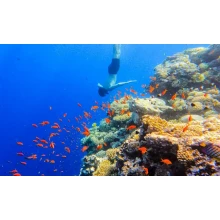 Traslados de El Cairo a Sharm El Sheikh o Taba