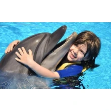 Nadar con Delfines en Sharm El Sheikh